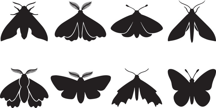 Set of various black moth and butterfly silhouettes featuring different wing shapes isolated on a white background