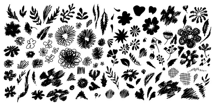Collection of modern abstract simple flower, leaves, shapes illustration. Set hand drawn objects vector illustration