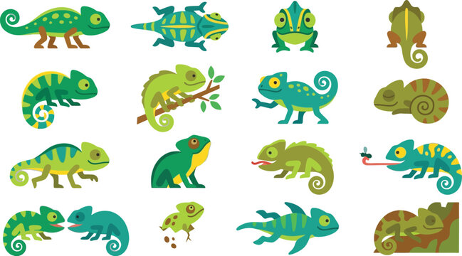 Collection of colorful chameleon illustrations in flat vector style showing various poses and natural behaviors