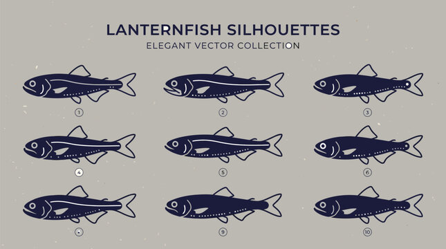 Collection of elegant lanternfish silhouettes in a minimalist vector style for marine biology infographic use