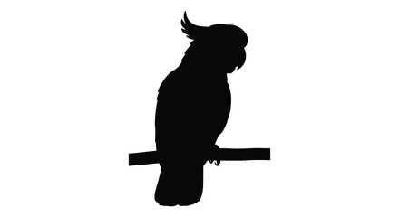 Cockatoo silhouette against a white background avian form in black © Munna