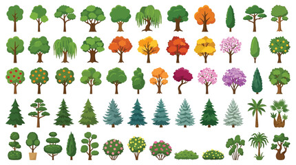 Collection Of Various Trees And Bushes Colorful Vector Illustration © SERINA AKTHER