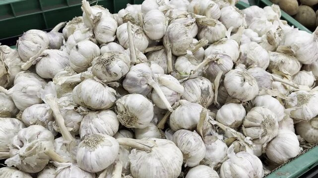A large pile of fresh raw garlic bulbs with stems displayed at local market shelf