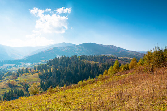 countryside mountain landscape in autumn. weathered grassy field on a hill near forest. rural outdoor adventure background. alpine highland of ukraine on a sunny afternoon