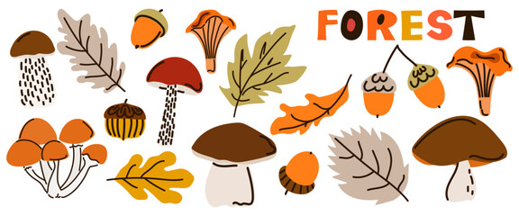 Forest mushroom set. Autumn leaf and acorn collection with typography text for Thanksgiving fall design clip art. Flat cartoon vector © Iryna