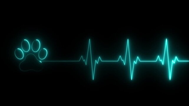 glowing neon Dog Paw Print Heartbeat Line icon Veterinary Healthcare ECG. Heartbeat icon with Paw Print Symbolizing black background. animation 4k video