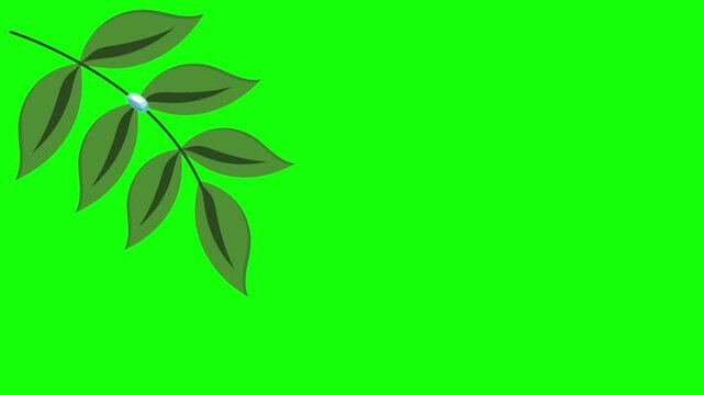 Green and White Tree and Screen on Green Screen Background Horizontal 16-9