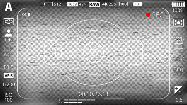 DSLR mirrorless camera rec overlay. Recorder cam display frame. Video or photo recording screen. CCTV black and white glitch effect filter. Viewfinder cam layout template. Vector illustration