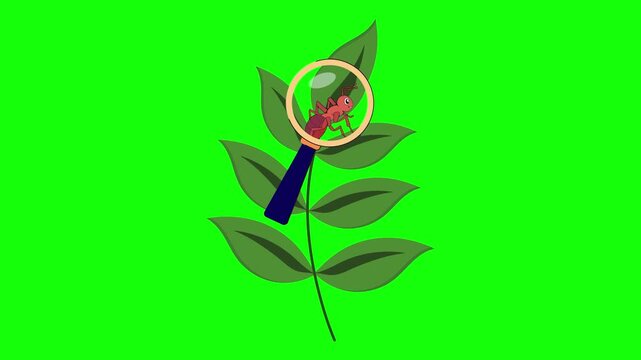 Green Person and Bird and Flower and Plant on Green Screen Background Horizontal 16-9