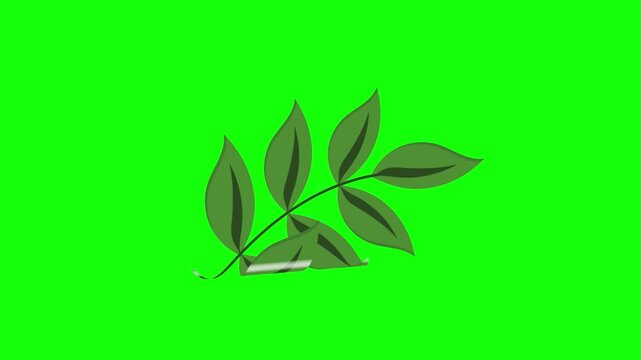 Green and White Leaf and Screen on Green Screen Background Horizontal 16-9