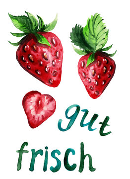 Watercolor illustration of fresh strawberries isolated on white background. Hand-drawn red berries, leaves and slices template with copy space.