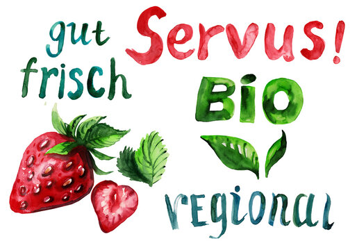 Watercolor illustration of a regional organic food set. Hand-drawn strawberries, Servus greeting, Bio and gut frisch text templates on white.