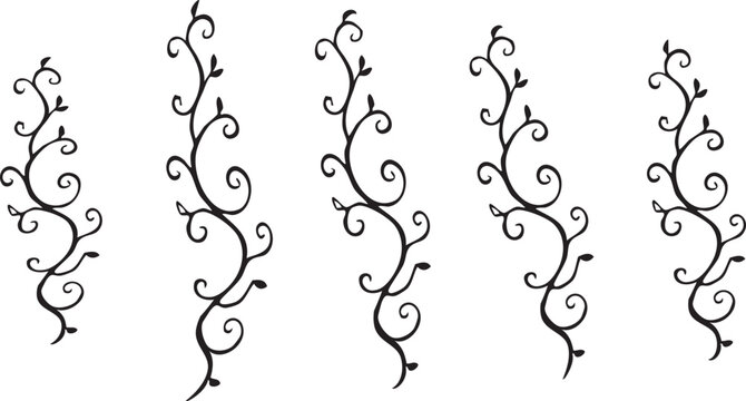 Set of hand drawn floral vine borders isolated on transparent background for decoration.