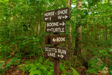 Fotobehang Bospad Wooden trail sign marking hiking routes through the forest at French Creek State Park, Pennsylvania.  © Nicola