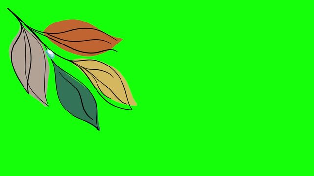 Green and White Leaf and Screen on Green Screen Background Horizontal 16-9