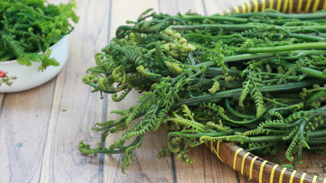 Fresh vegetable ferns (pakis or sayur paku) with its green leaves and stems. It's vegetarian, healthy, and delicious.