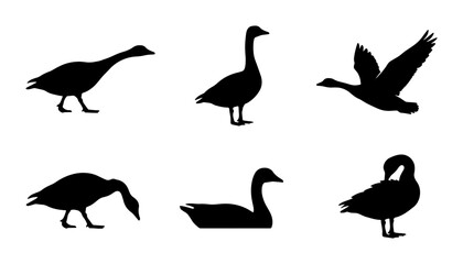 Silhouette Goose Vector Icons Set, Flying and Standing Bird Graphics, Wildlife Animal Shapes Collection © Faisal