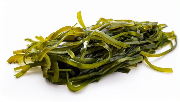 Isolated Laminaria Spirulina Fucus Litotamnia Seaweed White Background