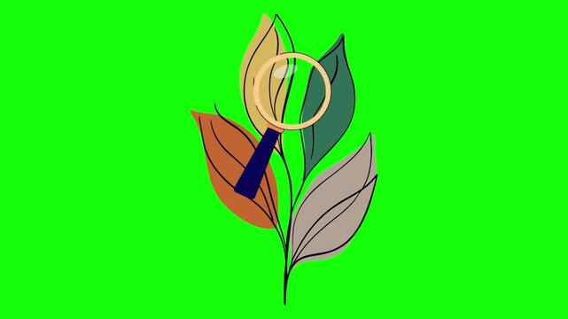 Green Flower and Screen on Green Screen Background Horizontal 16-9