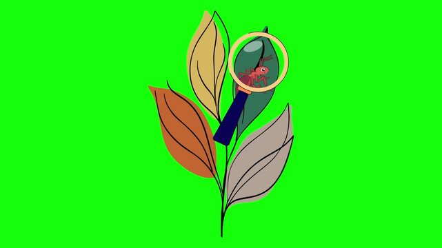 Green Flower on Green Screen Background Horizontal 16-9