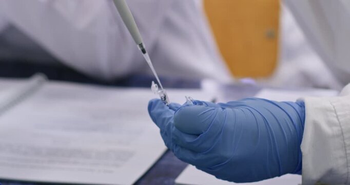 The scientist holds small eppendorf tubes for PCR and transfers substances between test tubes using a dispenser.