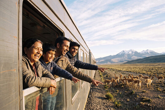 Family looking out a train window at llamas on the Andean plateau
