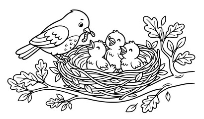 Fototapeta premium Cute Bird Feeding Baby Birds in Nest Coloring Page Vector