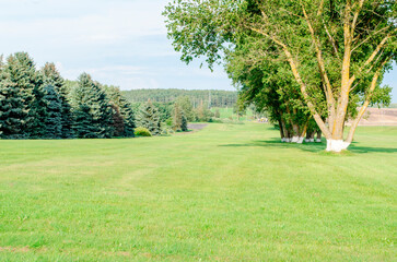 Obraz premium Wide grassy field with trees and distant hills in evening light