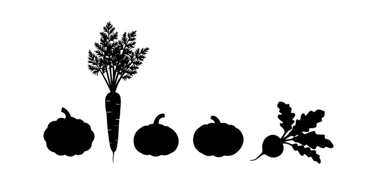 Black silhouette set of fresh garden vegetables including carrot pumpkin and radish icons isolated on transparent background, Vector