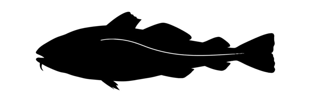 Black silhouette of a cod fish swimming in profile view isolated on transparent background, Vector