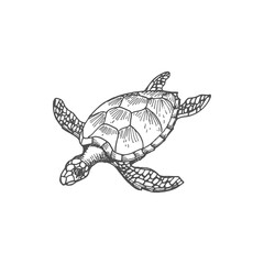 Fototapeta premium Loggerhead sea turtle isolated marine animal monochrome sketch icon. Vector reptile, nautical tortoise with cartilaginous carapace shell, underwater mascot. Caretta ocean terrapin, aquarium tank pet