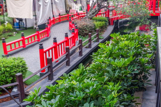 Beautiful Red Bridge in garden,Japanese style, Colorful fancy carp fish (koi fish) and pond in Japanese garden.	