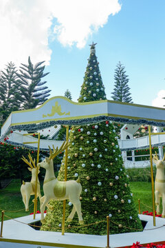 Luxury Merry go round and white Horse carousel in garden and christmas tree,holiday season and carnival,playful for kid,festive  concept.