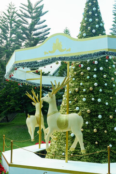 Luxury Merry go round and white Horse carousel in garden and christmas tree,holiday season and carnival,playful for kid,festive  concept.
