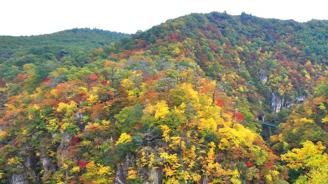 秋の鳴子峡【宮城県大崎市鳴子温泉】