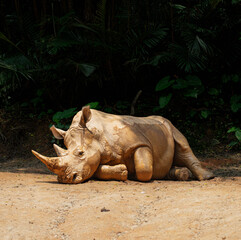 Rhino resting on dirt ground in front of dark jungle © onurcepheli