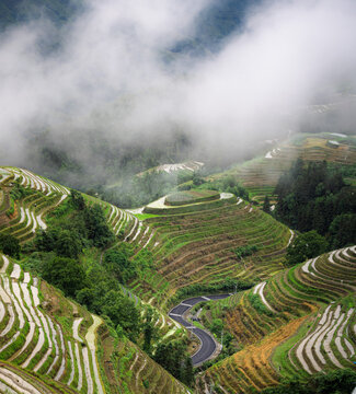 Misty Longji Rice Terraces and winding road