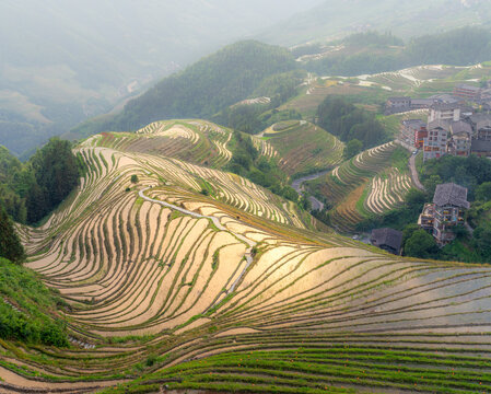Scenic Longji rice terraces with water reflecting sunlight