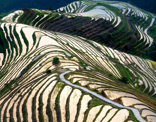 Obraz premium Guangxi longji rice terraces reflecting sunlight