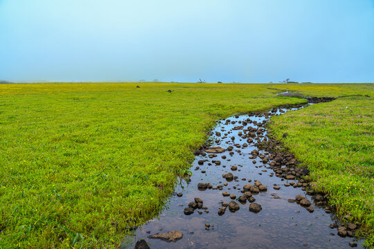 A serene monsoon landscape captured on a Western Ghats plateau. The image features a sprawling meadow of lush, vibrant green grass rainy season and a shallow, rocky water stream at the foreground.