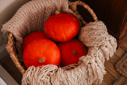 Baskets filled with orange pumpkins display harvest season vibes in a cozy room setting