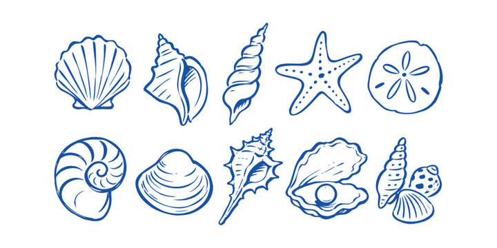 seashell collection and hand drawn summer beach sea shell starfish nautilus clam oyster pearl dollar doodle icon set vector illustration