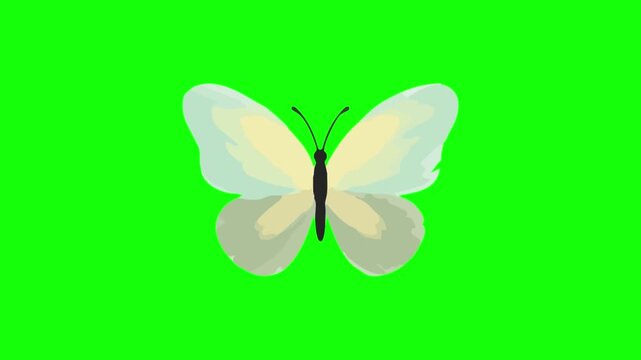 Delicate white butterfly resting on green background. Transparent winged insect isolated for design projects. Elegant nature element for graphic ov...