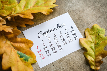 September calendar card framed by yellow oak leaves on textured concrete surface. Autumn planning, school season marketing, seasonal greetings © Elen Nika