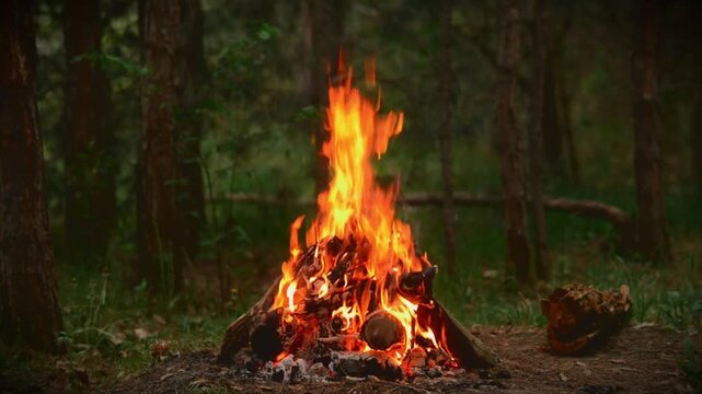 Peaceful campfire loop in the woods surrounded by green trees, seamless video with realistic crackling fire audio and birds singing background, cozy nature ambient for meditation