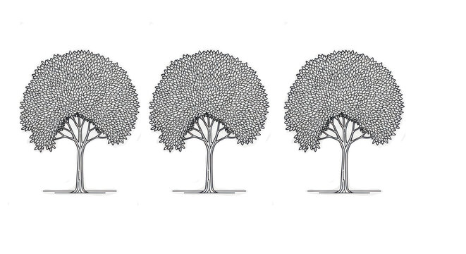 Three stylized brain trees illustration