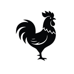 rooster isolated on white background © coldplayerz