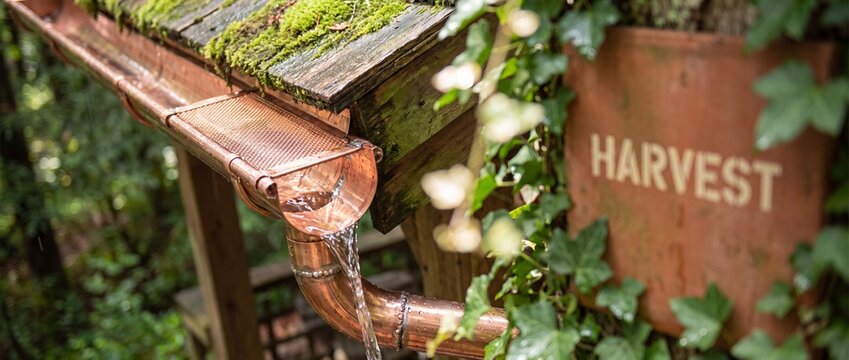 Copper rain gutter water flowing from mossy roof with ivy leaves and harvest sign, rustic rainwater harvesting system, sustainable eco-friendly water conservation, backyard garden drainage setup tool.
