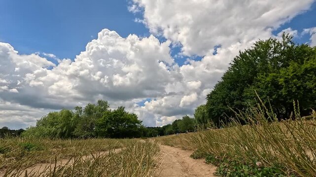 Country road, backward low angle camera movement