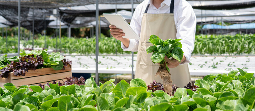 A man is holding a plant in a greenhouse